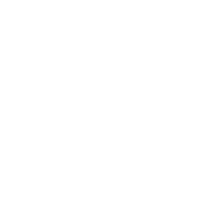 Logotipo oficial da DuTom Transportes Executivos.